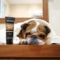 Animology Derma Dog Shampoo Animology Animology Derma Dog Shampoo