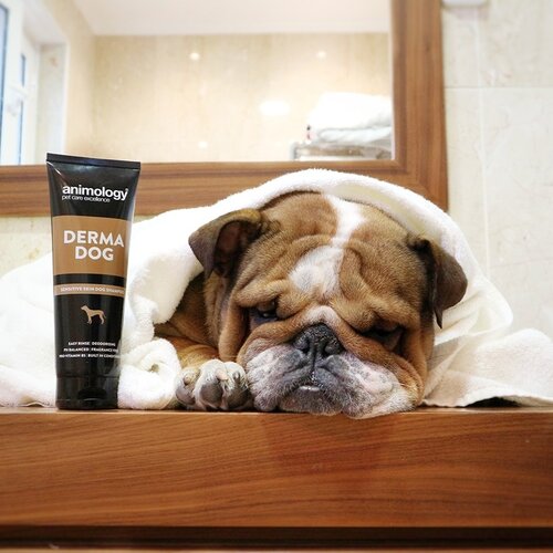 Animology Animology Derma Dog Shampoo