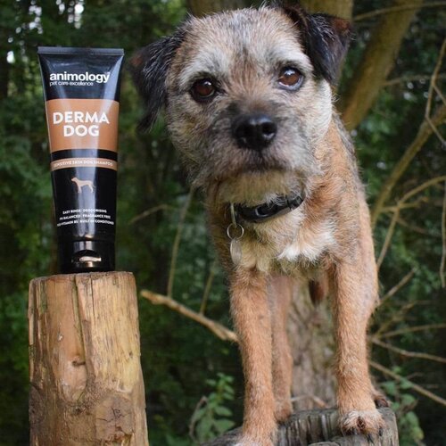 Animology Animology Derma Dog Shampoo