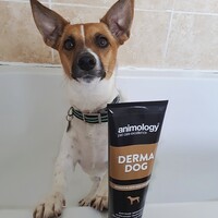 Animology Derma Dog Shampoo Animology Animology Derma Dog Shampoo
