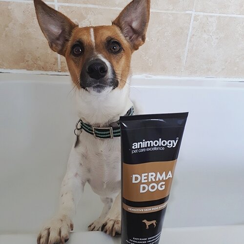 Animology Animology Derma Dog Shampoo