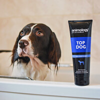 Animology Top Dog Conditioner Animology Animology Top Dog Conditioner