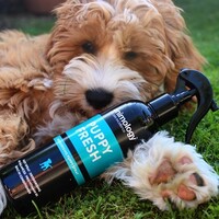 Animology Puppy Fresh Refreshing Spray Animology Animology Puppy Fresh Refreshing Spray