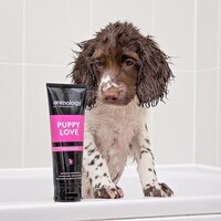 Animology Puppy Love Shampoo Animology Animology Puppy Love Shampoo