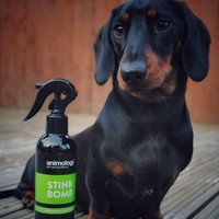 Animology Stink Bomb Refreshing Spray (4X) Animology Animology Stink Bomb Refreshing Spray (4X)
