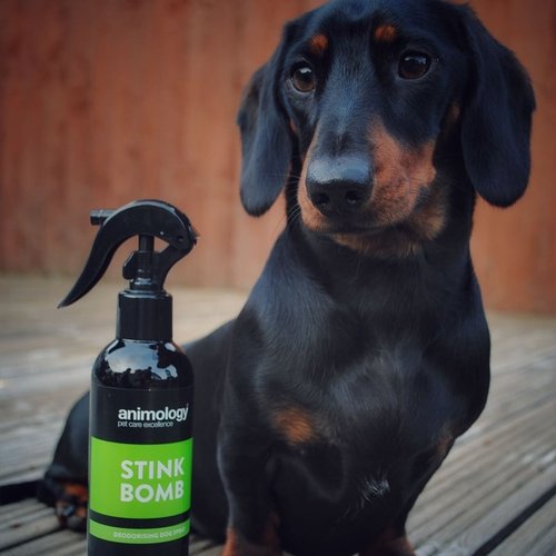 Animology Animology Stink Bomb Refreshing Spray (4X)