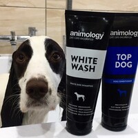 Animology White Wash Shampoo (4X) Animology Animology White Wash Shampoo (4X)