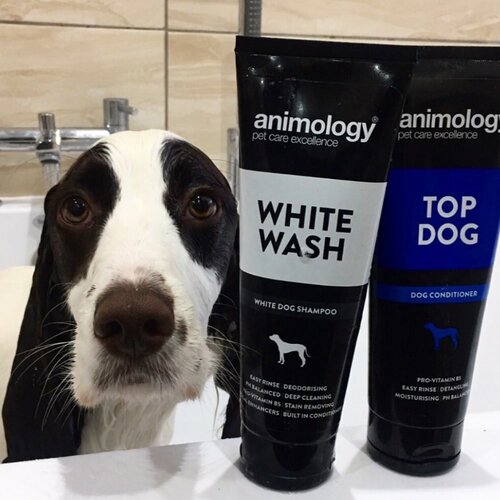 Animology Animology White Wash Shampoo