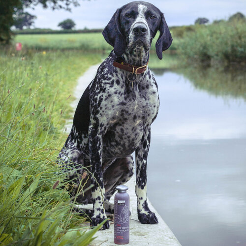 Greenfields Greenfields Dog Shampoo Anti-Dandruff with cade oil 250 ml