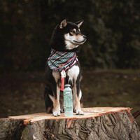 Greenfields Dog Shampoo Aloe Vera 250 ml Greenfields Greenfields Dog Shampoo Aloe Vera 250 ml