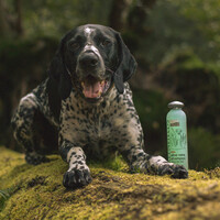 Greenfields Hondenshampoo Aloe Vera Greenfields Greenfields Hondenshampoo Aloe Vera