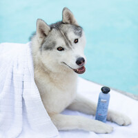 Greenfields Dog Shampoo White Coat Greenfields Greenfields Dog Shampoo White Coat