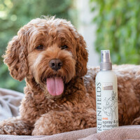 Greenfields Droogshampoo voor Honden - Spray & Go Shampoo Greenfields Greenfields Droogshampoo voor Honden - Spray & Go Shampoo