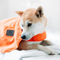Greenfields Cape Towel - Handdoek voor Honden Greenfields Greenfields Cape Towel - Handdoek voor Honden