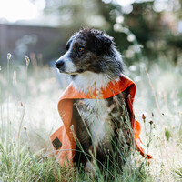 Greenfields Cape Towel - Handdoek voor Honden Greenfields Greenfields Cape Towel - Handdoek voor Honden