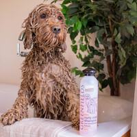 Greenfields Hondenshampoo Curly Coat 250 ml Greenfields Greenfields Hondenshampoo Curly Coat 250 ml