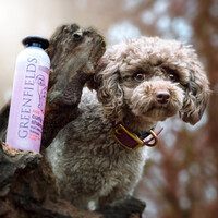 Greenfields Hondenshampoo Curly Coat 250 ml Greenfields Greenfields Hondenshampoo Curly Coat 250 ml