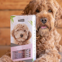 Greenfields Labradoodle Care Set 2x250ml Greenfields Greenfields Labradoodle Care Set 2x250ml
