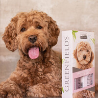 Greenfields Labradoodle Care Set 2x250ml Greenfields Greenfields Labradoodle Care Set 2x250ml