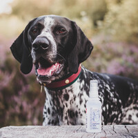Greenfields Dog Perfume Wild 75 ml Greenfields Greenfields Dog Perfume Wild 75 ml