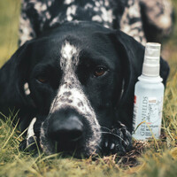 Greenfields Dog Perfume Wild 75 ml Greenfields Greenfields Dog Perfume Wild 75 ml