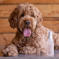 Greenfields Dog Perfume Blush 75 ml Greenfields Greenfields Dog Perfume Blush 75 ml