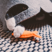 Beco Plush Catnip Toy - Fish Beco Beco Plush Catnip Toy - Fish