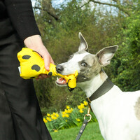 Beco Plush Toy - George the Giraffe Beco Beco Plush Toy - George the Giraffe