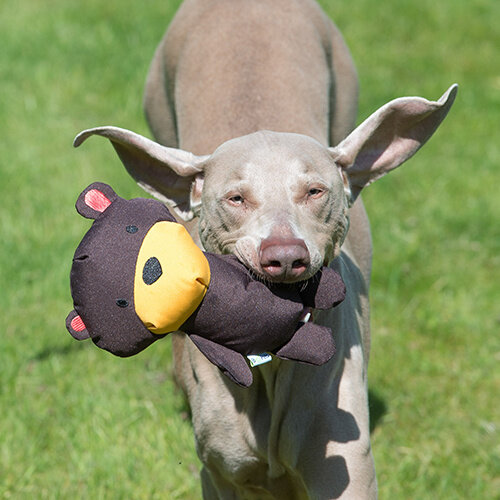 Beco Beco Plush Toy