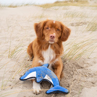 Beco Plush Toy - David de Dolfijn Beco Beco Plush Toy - David de Dolfijn