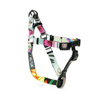 Wolfgang - StreetLogic Harness