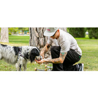 Wolfgang - WhiteOwl Leash Wolfgang Wolfgang - WhiteOwl Leash