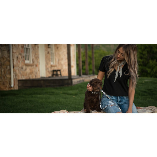 Wolfgang Wolfgang - WhiteOwl Leash