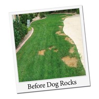 Dog Rocks Natuursteen Dogrocks Dog Rocks Natuursteen