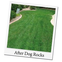 Dog Rocks Natuursteen Dogrocks Dog Rocks Natuursteen