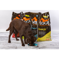 DOGR Puppy/Junior 12 kg DOGR DOGR Puppy/Junior 12 kg