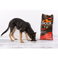 DOGR DOGR Adult 12 kg
