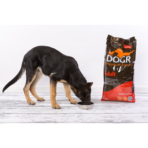 DOGR DOGR Adult 12 kg