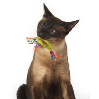 Dental Health Chew Petstages Dental Health Chew