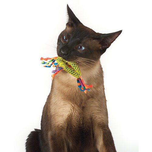 Petstages Dental Health Chew