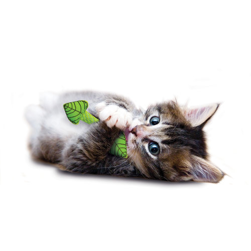 Petstages Mint Stick