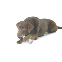 Petstages Deerhorn