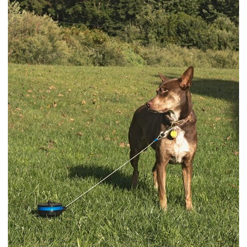 Petstages Retractable Cable Tie Out