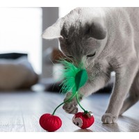 Dental Cherries Red Petstages Dental Cherries Red
