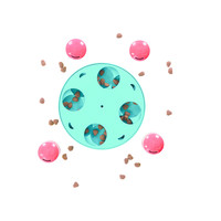 Mini Treat Wheel Outward Hound Mini Treat Wheel