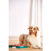Dog Brick Blauw Outward Hound Dog Brick Blauw