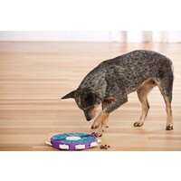 Dog Twister Paars Outward Hound Dog Twister Paars