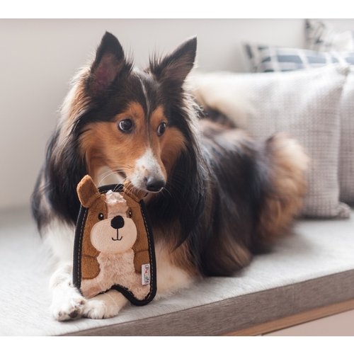 Outward Hound Invincibles Penguin Blue XS
