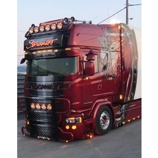 Coles Custom Coles Custom Windscreenguard Scania R