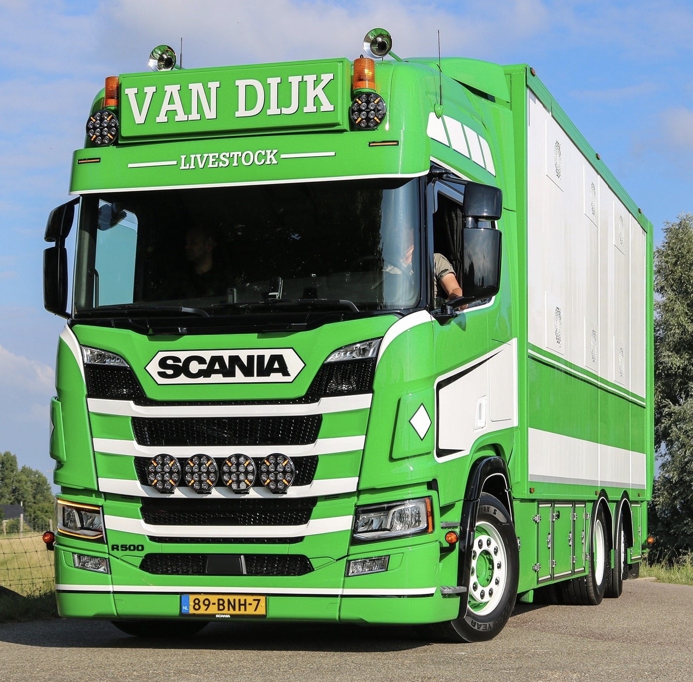 Ledson Pollux 9 verstraler met oranje en wit stadslicht!